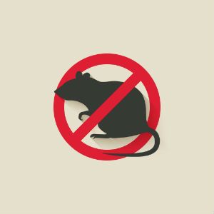 No Rats